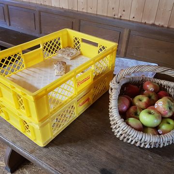 Tolle Eltern, die uns einfach so Kuchen und Obst spendieren! Tausend Dank dafür!!!