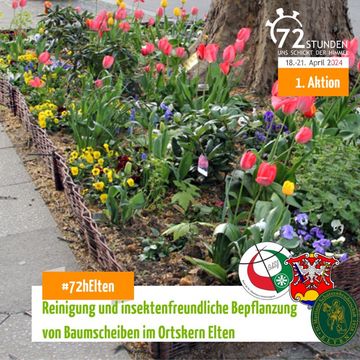 Projekt 2: Säuberung und Neubepflanzung von Baumscheiben im Ort