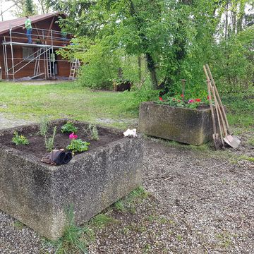 Kräuter und Blumen - zum Grillen und für die Optik was Feines.