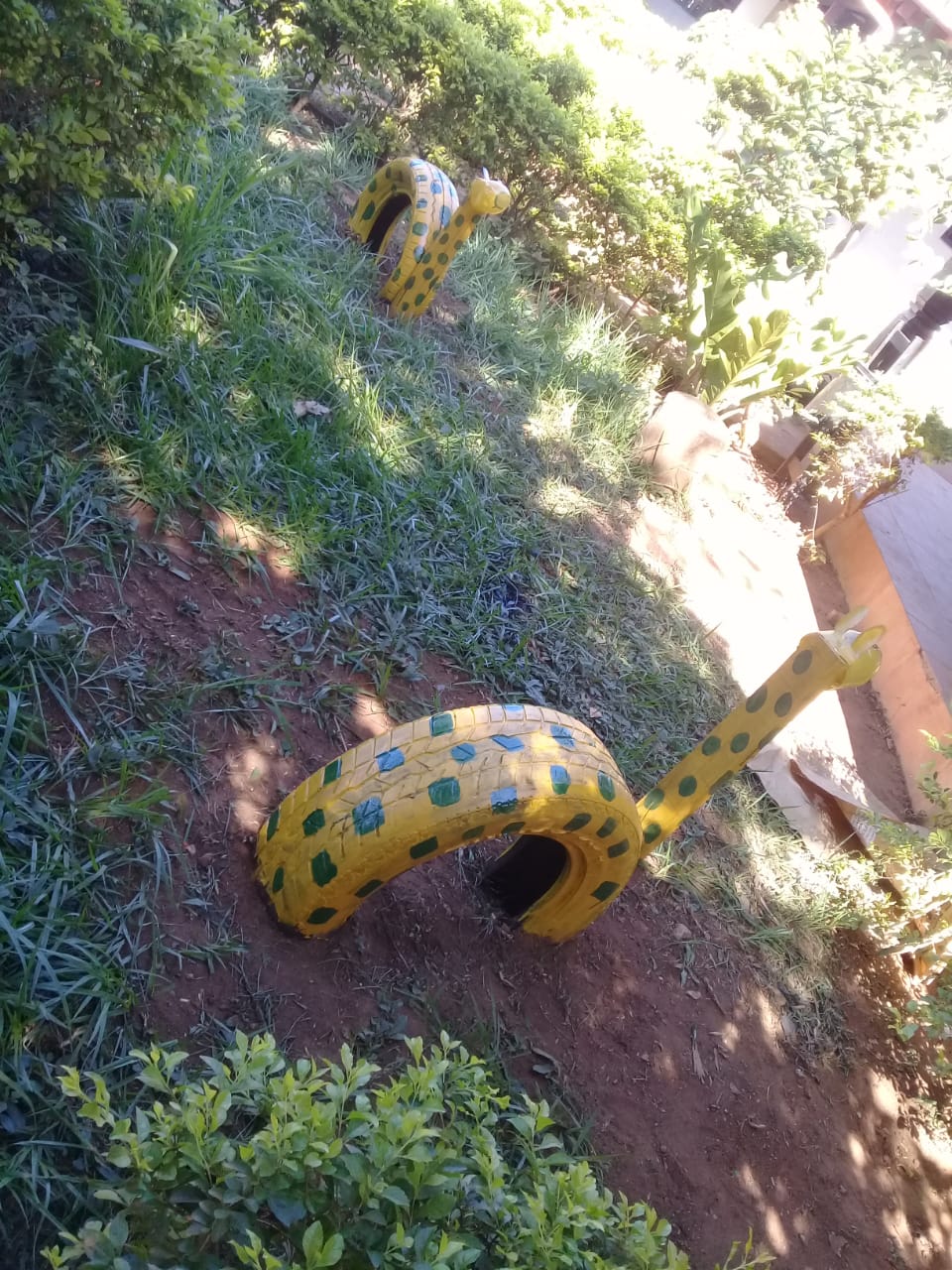 San Ignacio