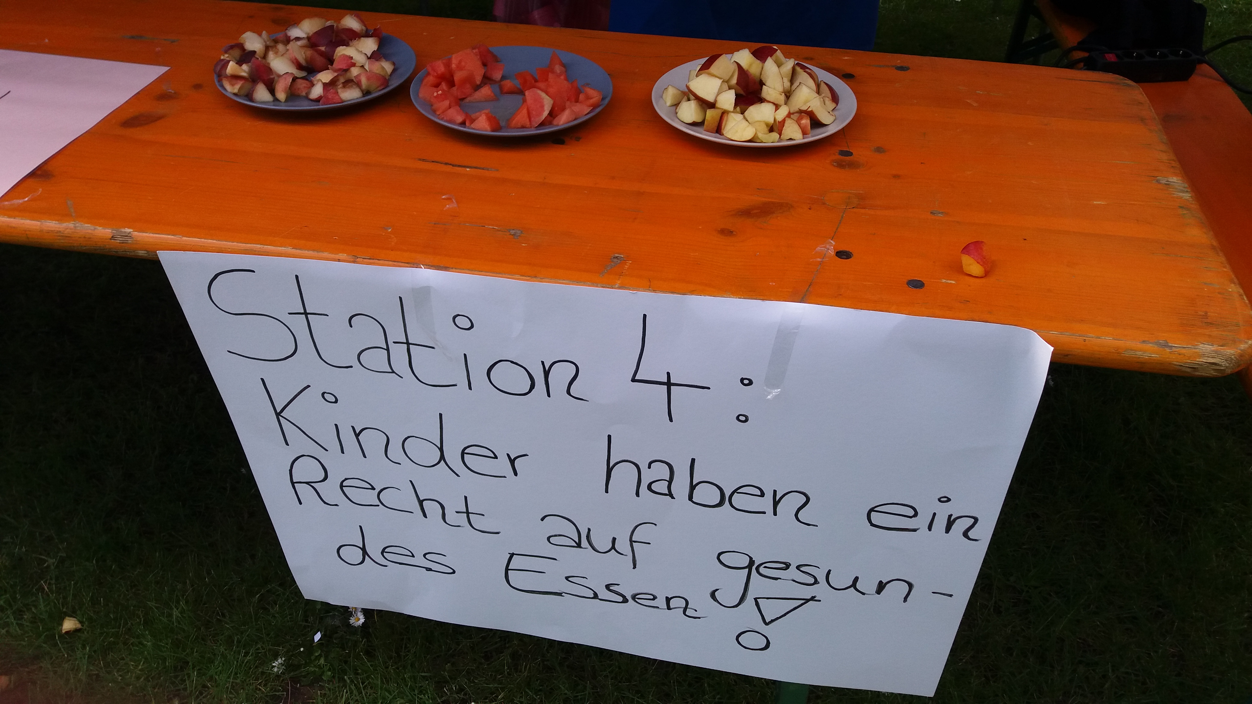 Katholische Jugend Dillingen und Schule am Römerkastell/Caritas