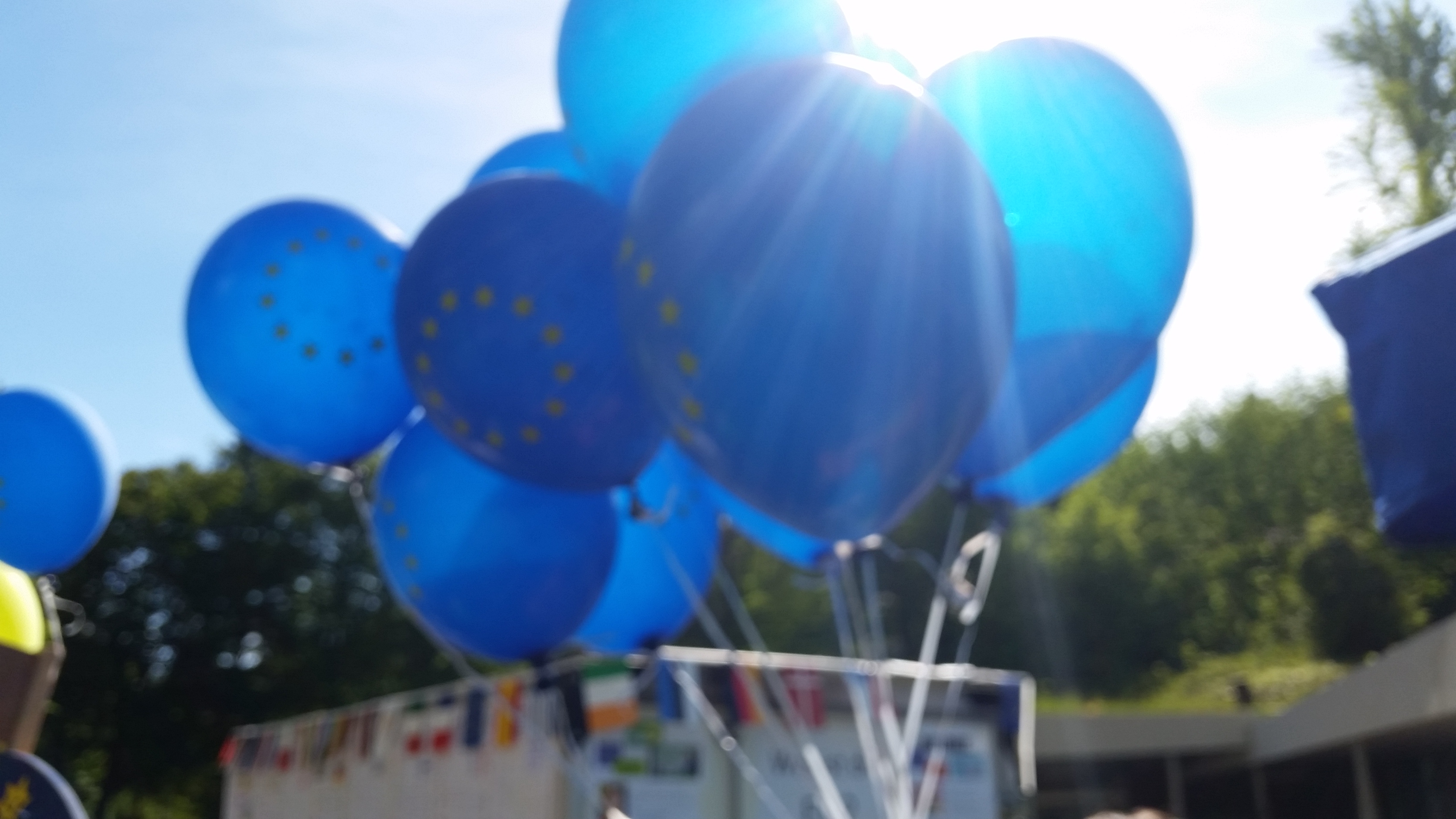 Ein bunter Stauß Europa