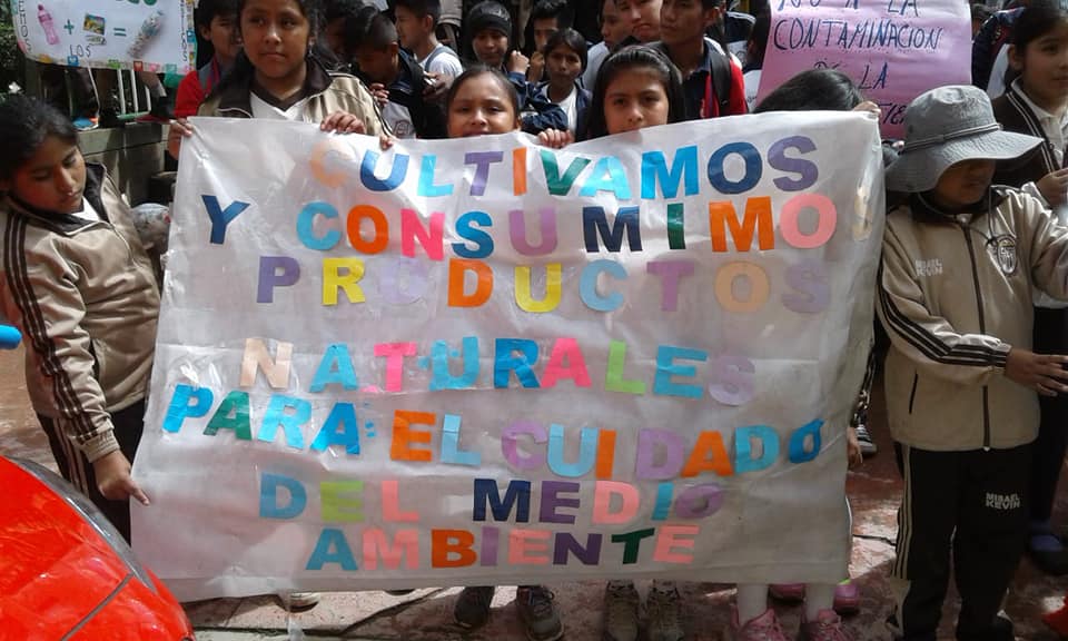 Coroico